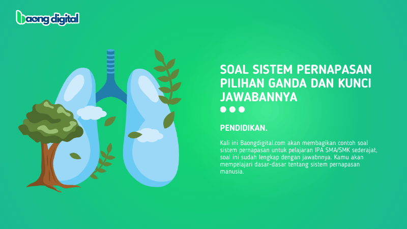 Soal Sistem Pernapasan Pilihan Ganda dan Kunci Jawabannya